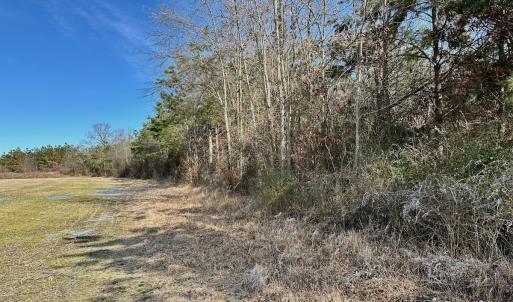 Photo #44 of 346 Menola St Johns Rd, Ahoskie, NC 35.4 acres