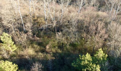 Photo #47 of 346 Menola St Johns Rd, Ahoskie, NC 35.4 acres