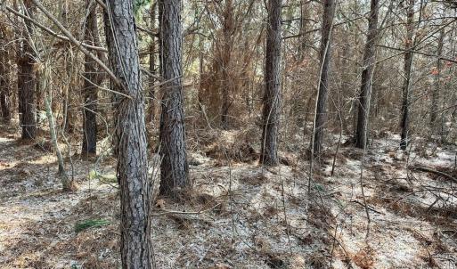 Photo #48 of 346 Menola St Johns Rd, Ahoskie, NC 35.4 acres