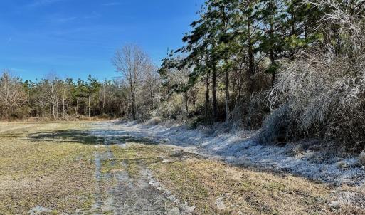 Photo #50 of 346 Menola St Johns Rd, Ahoskie, NC 35.4 acres