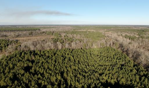 Photo #51 of 346 Menola St Johns Rd, Ahoskie, NC 35.4 acres