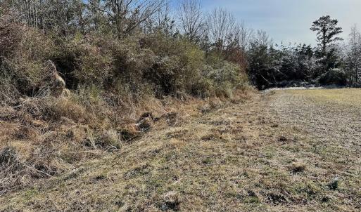 Photo #52 of 346 Menola St Johns Rd, Ahoskie, NC 35.4 acres
