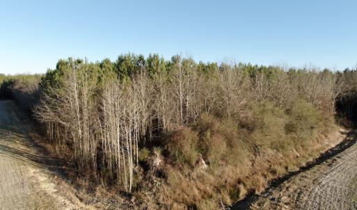 Photo #53 of 346 Menola St Johns Rd, Ahoskie, NC 35.4 acres