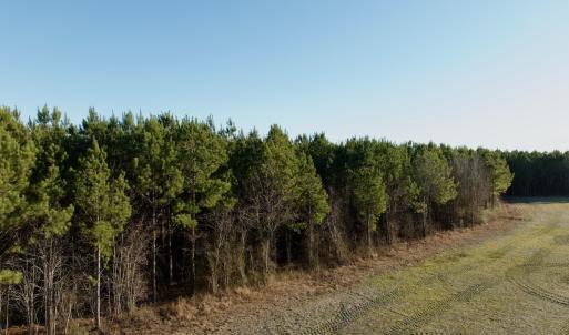 Photo #55 of 346 Menola St Johns Rd, Ahoskie, NC 35.4 acres