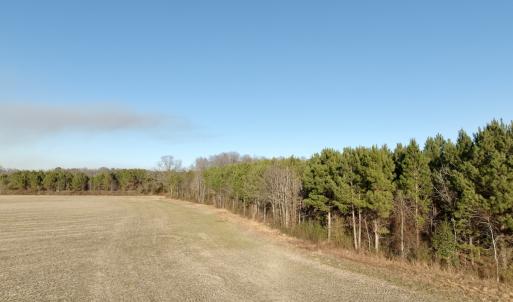 Photo #56 of 346 Menola St Johns Rd, Ahoskie, NC 35.4 acres