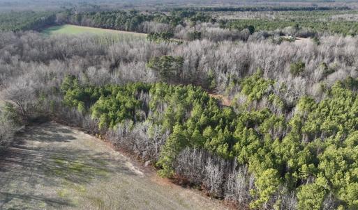 Photo #12 of Off Highway 308, Rich Square, NC 15.7 acres
