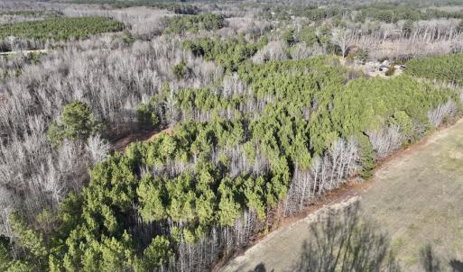 Photo #13 of Off Highway 308, Rich Square, NC 15.7 acres