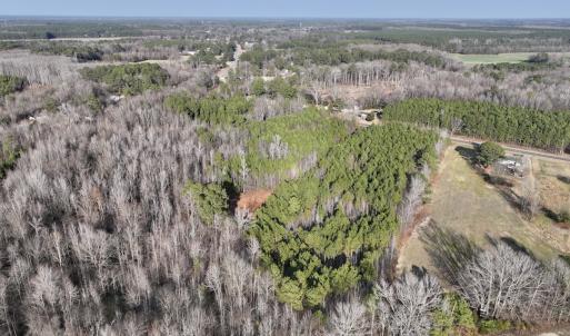 Photo #14 of Off Highway 308, Rich Square, NC 15.7 acres
