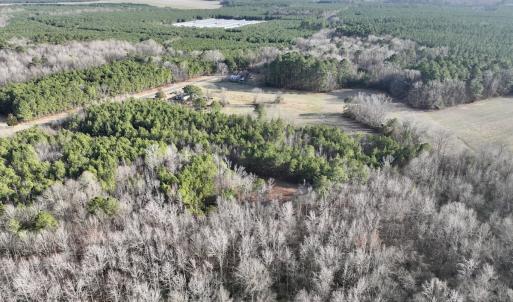 Photo #16 of Off Highway 308, Rich Square, NC 15.7 acres