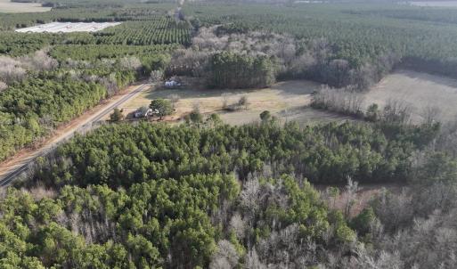Photo #17 of Off Highway 308, Rich Square, NC 15.7 acres