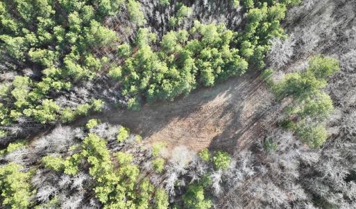 Photo #18 of Off Highway 308, Rich Square, NC 15.7 acres