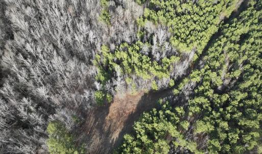 Photo #19 of Off Highway 308, Rich Square, NC 15.7 acres