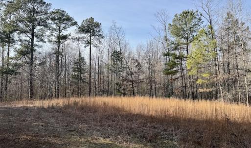 Photo #1 of Off Highway 308, Rich Square, NC 15.7 acres