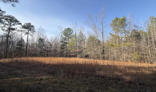 Photo #2 of Off Highway 308, Rich Square, NC 15.7 acres