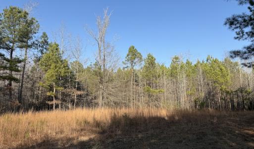 Photo #3 of Off Highway 308, Rich Square, NC 15.7 acres
