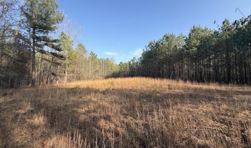 Photo #5 of Off Highway 308, Rich Square, NC 15.7 acres