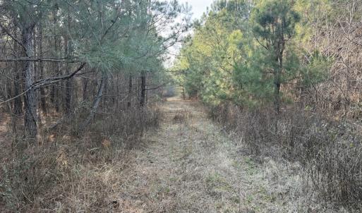 Photo #21 of Off Highway 308, Rich Square, NC 15.7 acres