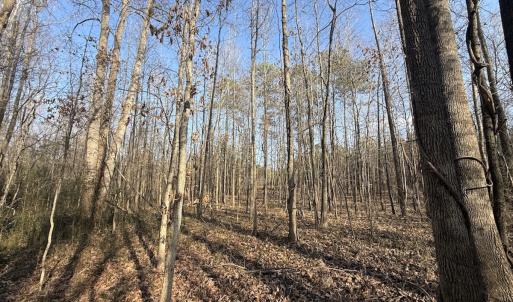 Photo #23 of Off Highway 308, Rich Square, NC 15.7 acres