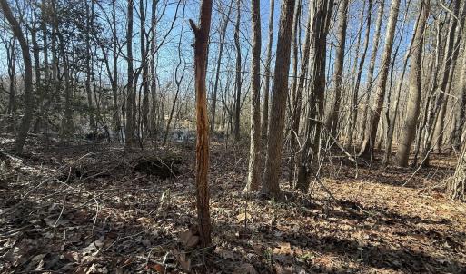 Photo #10 of 1012 S Halifax Rd, Rocky Mount, NC 20.0 acres