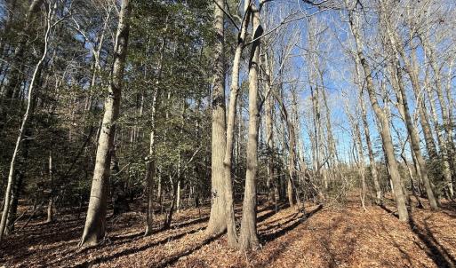 Photo #14 of 1012 S Halifax Rd, Rocky Mount, NC 20.0 acres