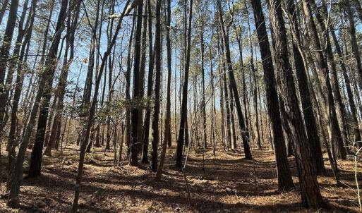 Photo #16 of 1012 S Halifax Rd, Rocky Mount, NC 20.0 acres