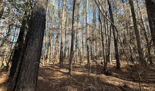 Photo #17 of 1012 S Halifax Rd, Rocky Mount, NC 20.0 acres