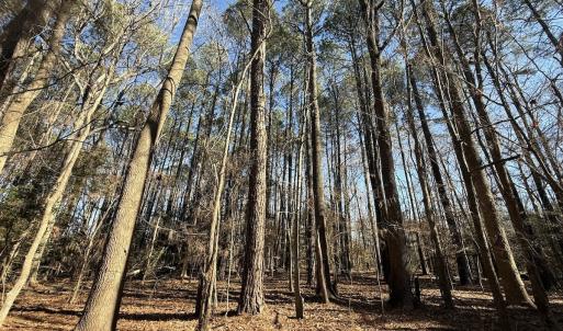 Photo #2 of 1012 S Halifax Rd, Rocky Mount, NC 20.0 acres