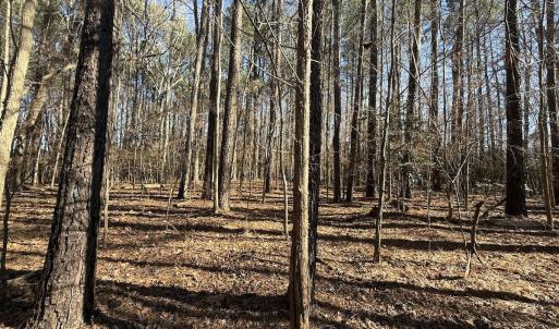 Photo #20 of 1012 S Halifax Rd, Rocky Mount, NC 20.0 acres