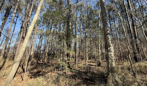 Photo #9 of 1012 S Halifax Rd, Rocky Mount, NC 20.0 acres