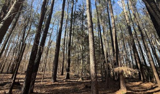 Photo #21 of 1012 S Halifax Rd, Rocky Mount, NC 20.0 acres