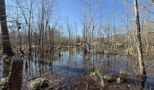 Photo #24 of 1012 S Halifax Rd, Rocky Mount, NC 20.0 acres