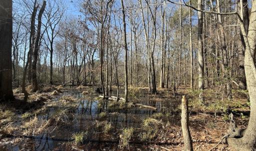 Photo #28 of 1012 S Halifax Rd, Rocky Mount, NC 20.0 acres