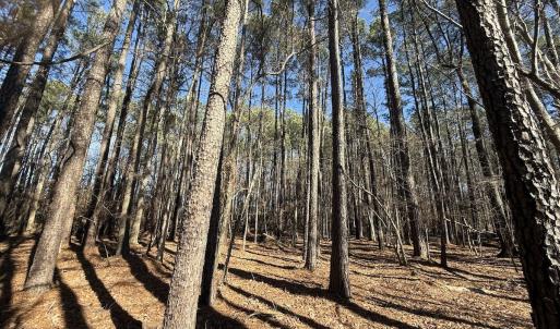 Photo #29 of 1012 S Halifax Rd, Rocky Mount, NC 20.0 acres