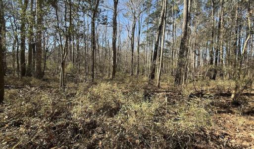 Photo #31 of 1012 S Halifax Rd, Rocky Mount, NC 20.0 acres