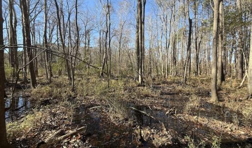 Photo #33 of 1012 S Halifax Rd, Rocky Mount, NC 20.0 acres