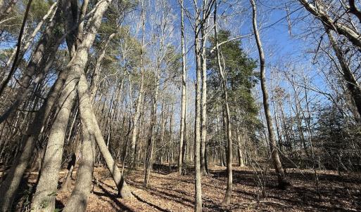Photo #34 of 1012 S Halifax Rd, Rocky Mount, NC 20.0 acres