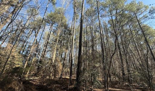 Photo #35 of 1012 S Halifax Rd, Rocky Mount, NC 20.0 acres
