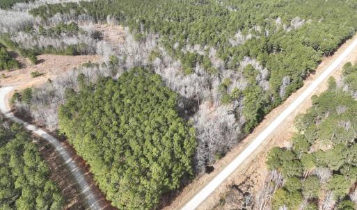 Photo #1 of 405 Batts Island Road, edenton, NC 10.7 acres