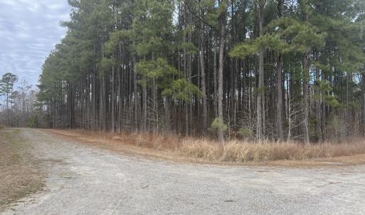 Photo #11 of 405 Batts Island Road, edenton, NC 10.7 acres