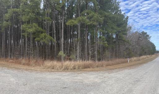 Photo #12 of 405 Batts Island Road, edenton, NC 10.7 acres