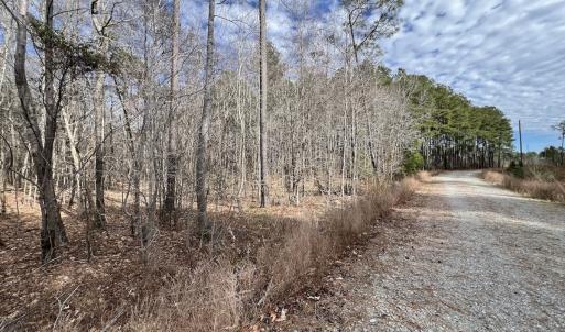 Photo #16 of 405 Batts Island Road, edenton, NC 10.7 acres