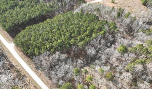 Photo #4 of 405 Batts Island Road, edenton, NC 10.7 acres