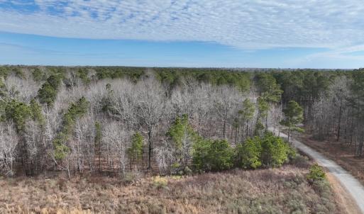 Photo #22 of 405 Batts Island Road, edenton, NC 10.7 acres