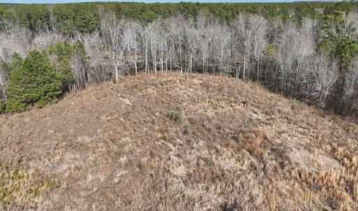 Photo #23 of 405 Batts Island Road, edenton, NC 10.7 acres