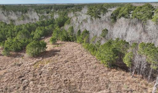 Photo #24 of 405 Batts Island Road, edenton, NC 10.7 acres