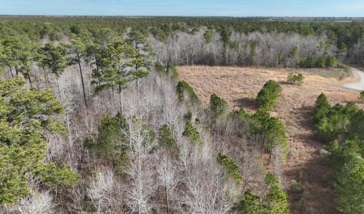 Photo #26 of 405 Batts Island Road, edenton, NC 10.7 acres