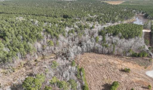 Photo #27 of 405 Batts Island Road, edenton, NC 10.7 acres