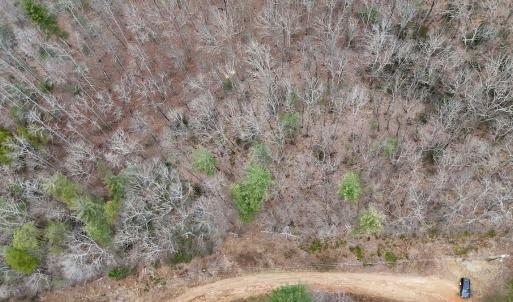 Photo #12 of Off Big Rock Ln, Lowgap, NC 7.0 acres