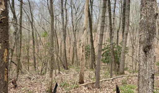 Photo #15 of Off Big Rock Ln, Lowgap, NC 7.0 acres