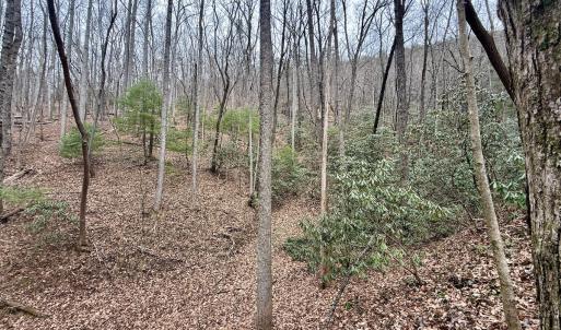 Photo #16 of Off Big Rock Ln, Lowgap, NC 7.0 acres